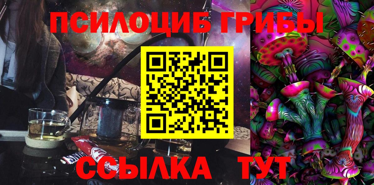 Выборг  Псилоцибиновые грибы мицелий  Вход с VPN 