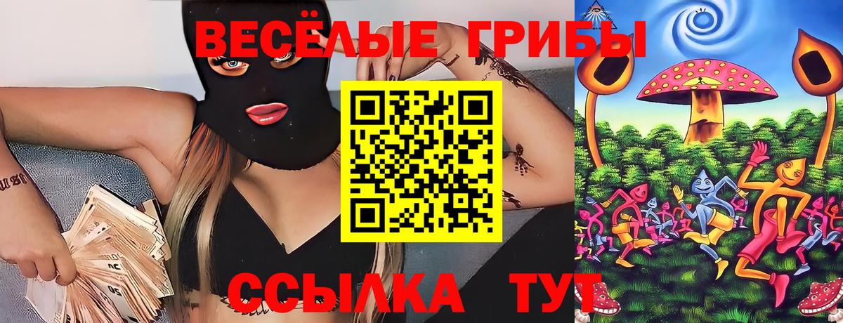 Галлюциногенные грибы GOLDEN TEACHER Выборг